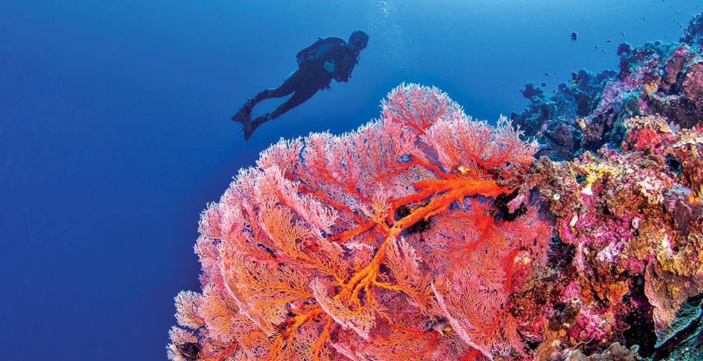 Pristine Paradise Dive Resort - Togean Islands, Una Una Pulau Unauna Exterior photo